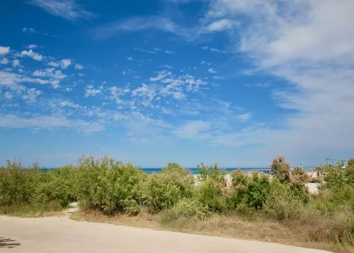 Albaranas By Carlosferien *