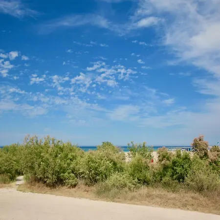 Albaranas By Carlosferien *